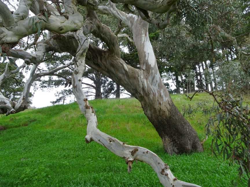 Lake Burrumbeet, Ballarat, VIC