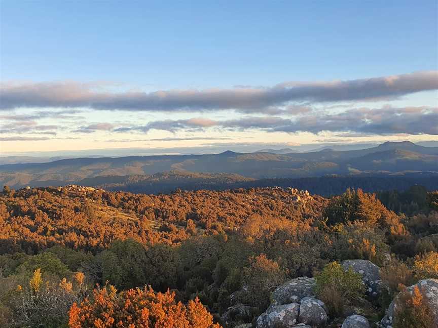 Blue Tier Forest Reserve, Weldborough, TAS