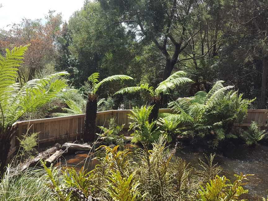 Lobster Ponds, Flowerdale, TAS