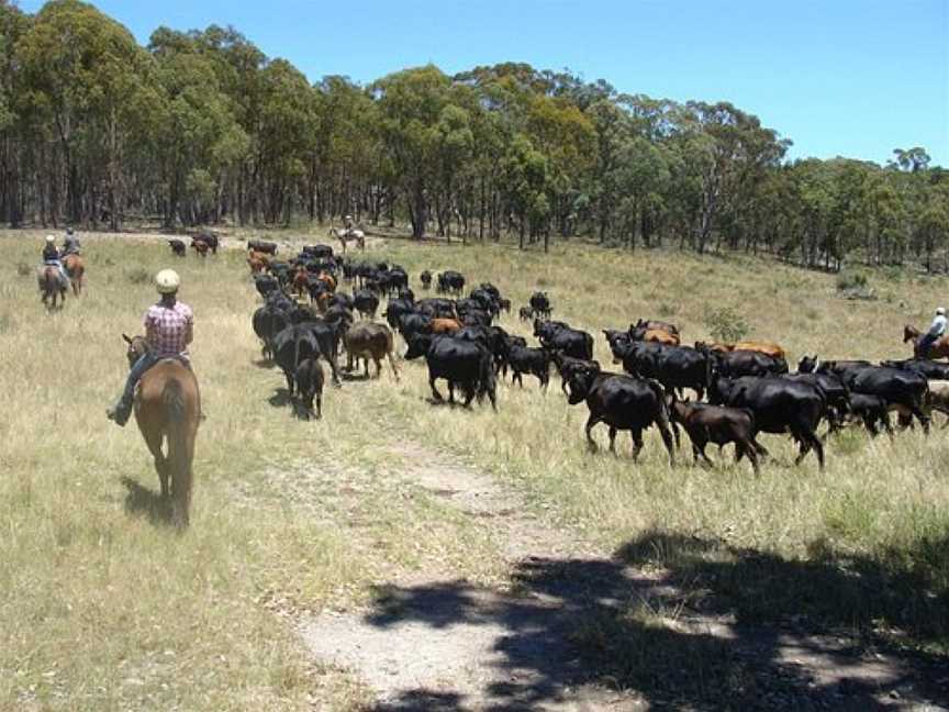 Leconfield, Kootingal, NSW