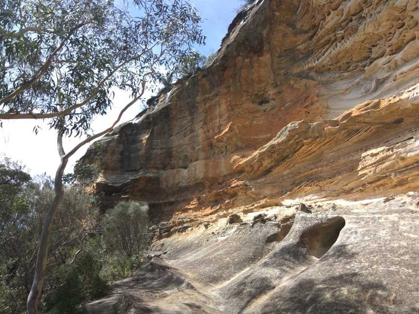 Anvil Rock Lookout, Blue Mountains National Park, NSW