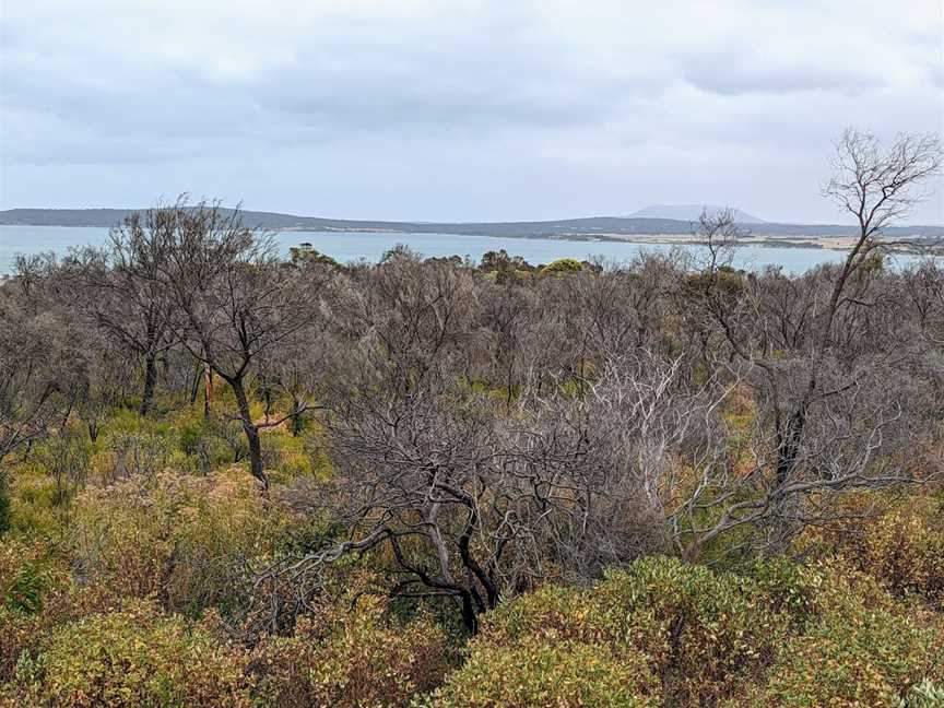 Coffin Bay Lookout, Coffin Bay, SA