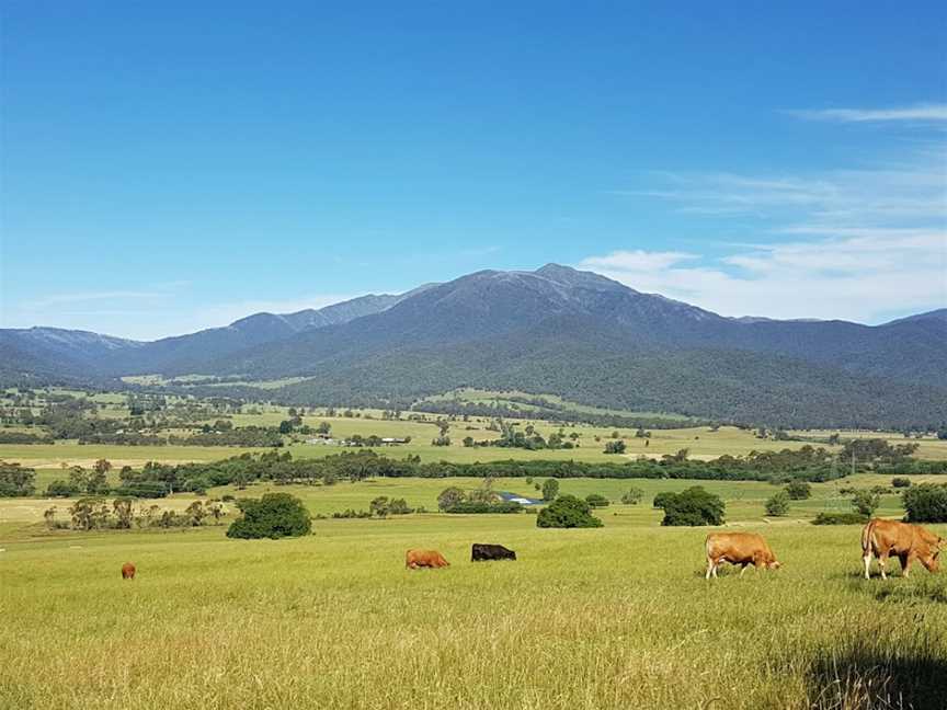 Mount Bogong Lookout, Tawonga South, VIC