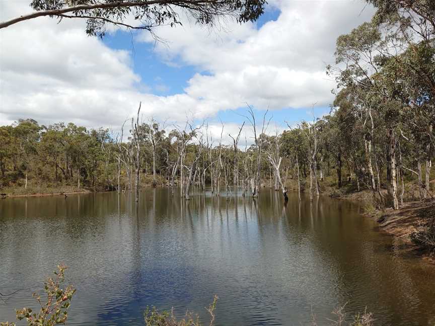 Paruna Sanctuary, Gidgegannup, WA