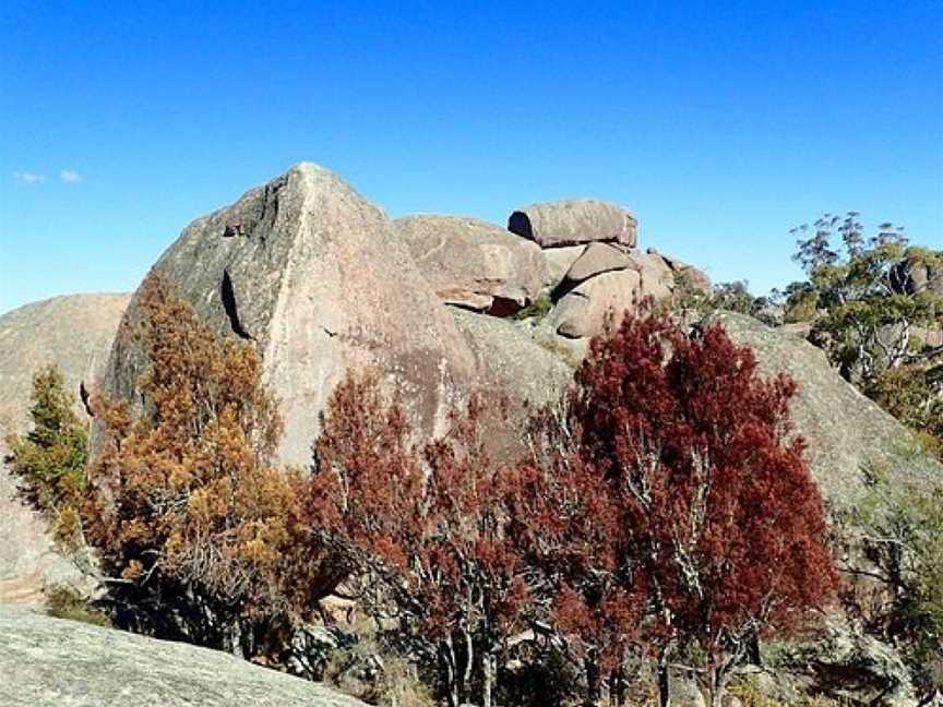 Evans Crown, Tarana, NSW