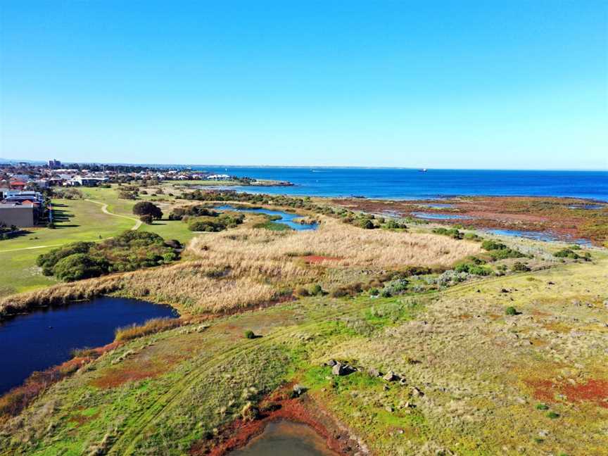 Jawbone Flora and Fauna Reserve, Williamstown, VIC