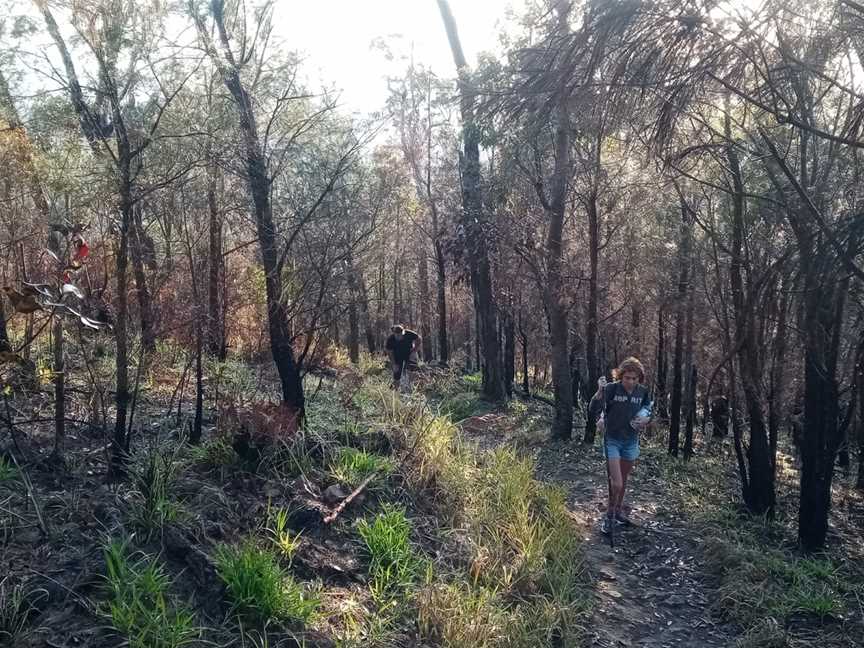 Mount Baldy, Atherton, QLD