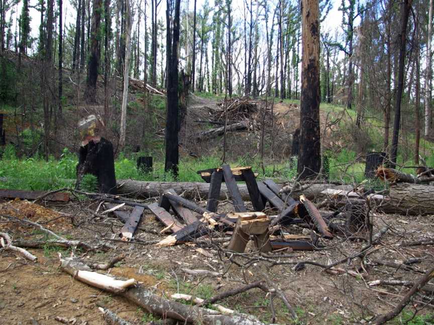 Grand Ridge Rail Trail, Mirboo North, VIC