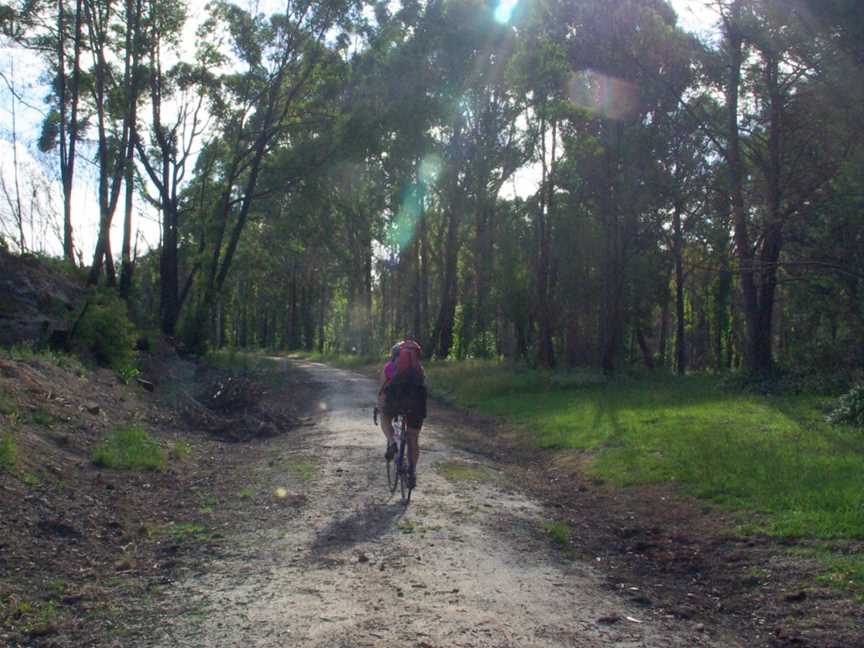 Grand Ridge Rail Trail, Mirboo North, VIC