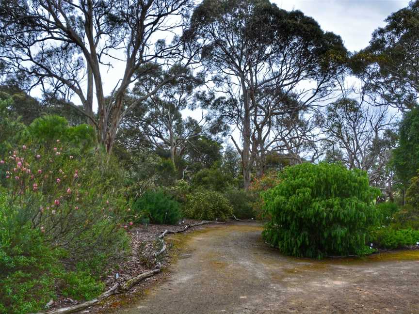 Nangawooka Flora Reserve, Victor Harbor, SA