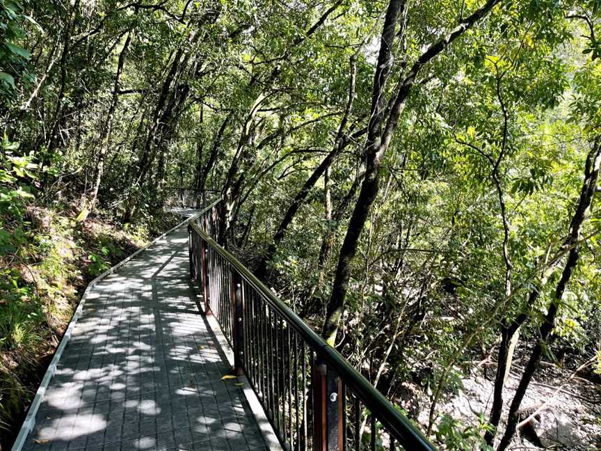 Kulki Boardwalk, Cape Tribulation, QLD