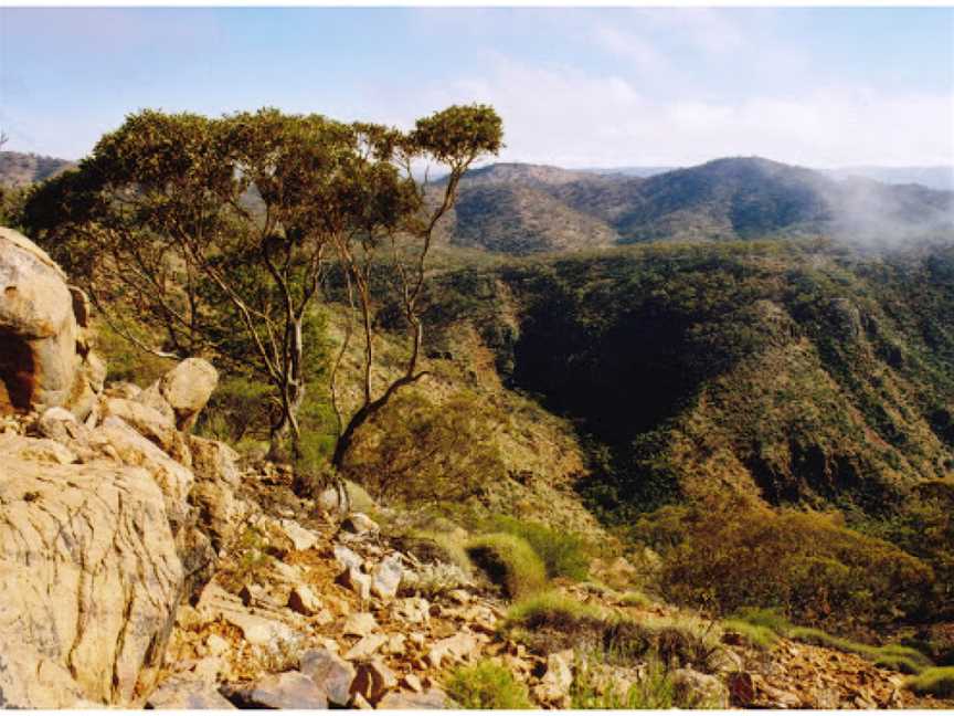 Bendleby Ranges, Orroroo, SA