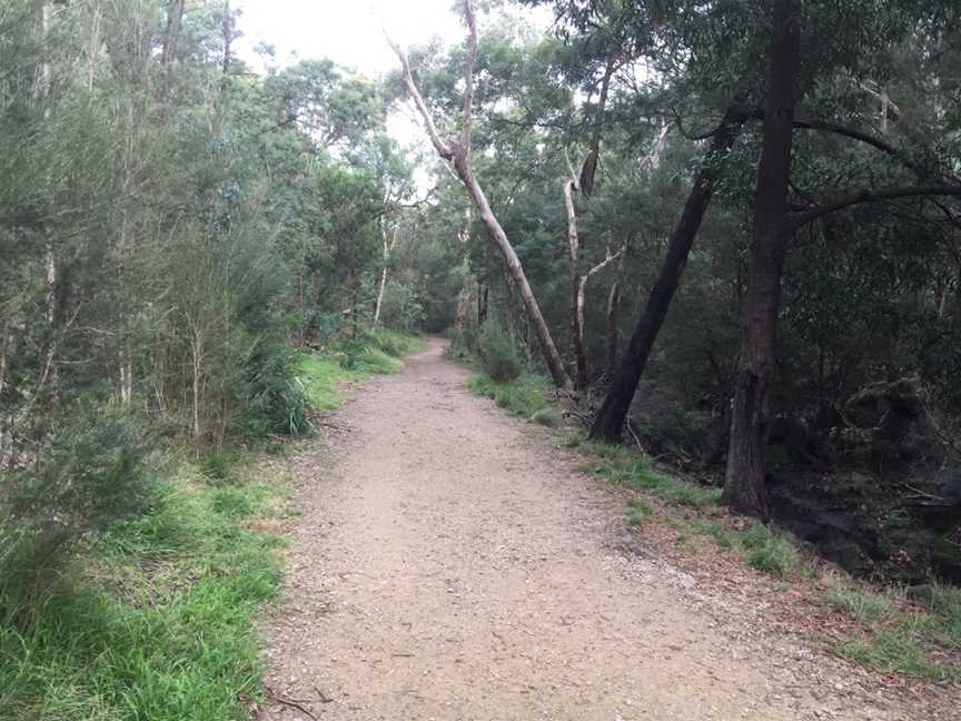 Damper Creek Reserve, Mount Waverley, VIC