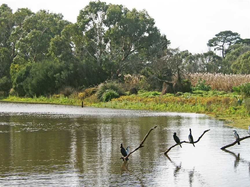 Coolart Wetlands and Homestead Reserve, Somers, VIC