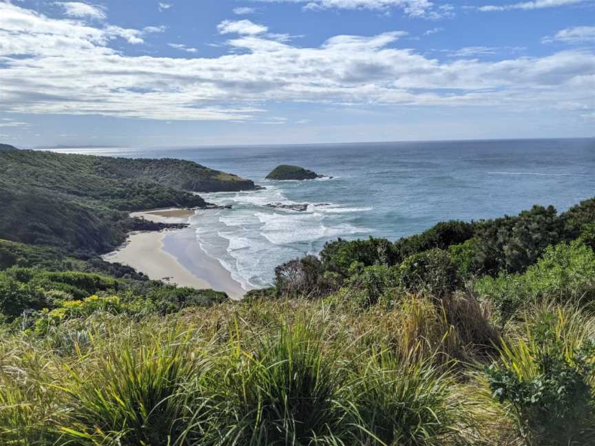 Hat Head National Park, Hat Head, NSW