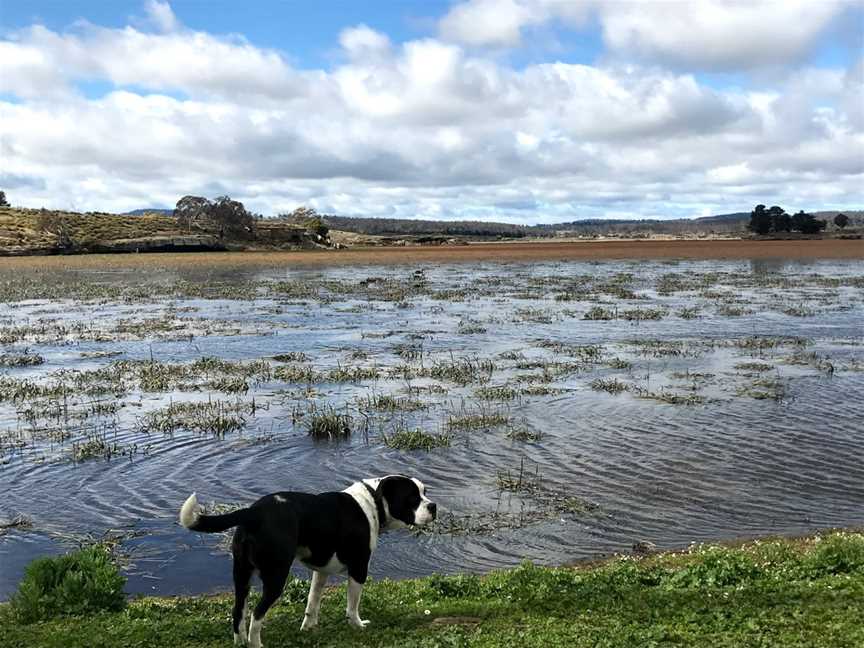 Lake Dulverton, Oatlands, TAS