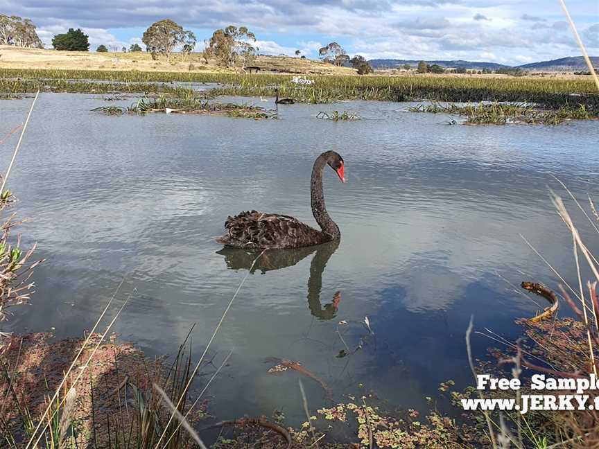 Lake Dulverton, Oatlands, TAS