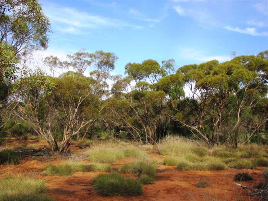 Gluepot Reserve, Waikerie, SA