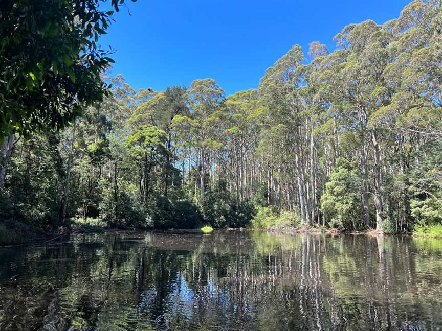 Sanatorium Lake, Mount Macedon, VIC