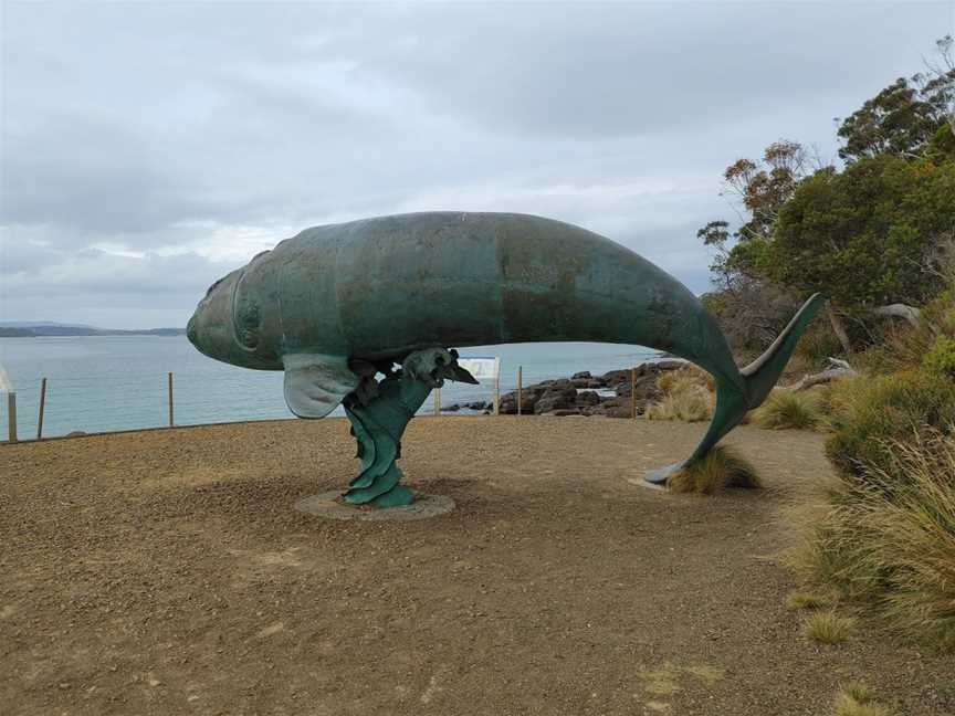 Cockle Creek, Southport, TAS