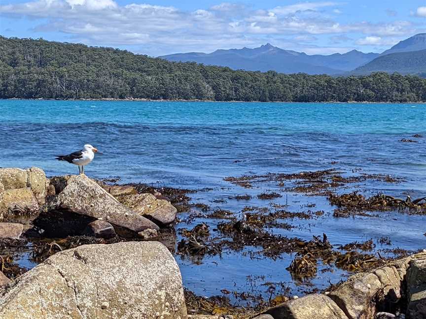 Cockle Creek, Southport, TAS