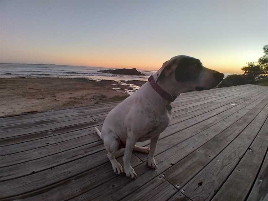 Gaol Point, Port Macquarie, NSW