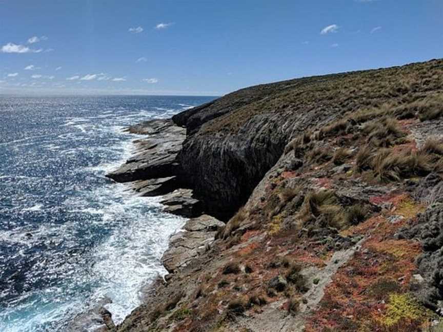 kangaroo island Admiral Arch, Duncan, SA