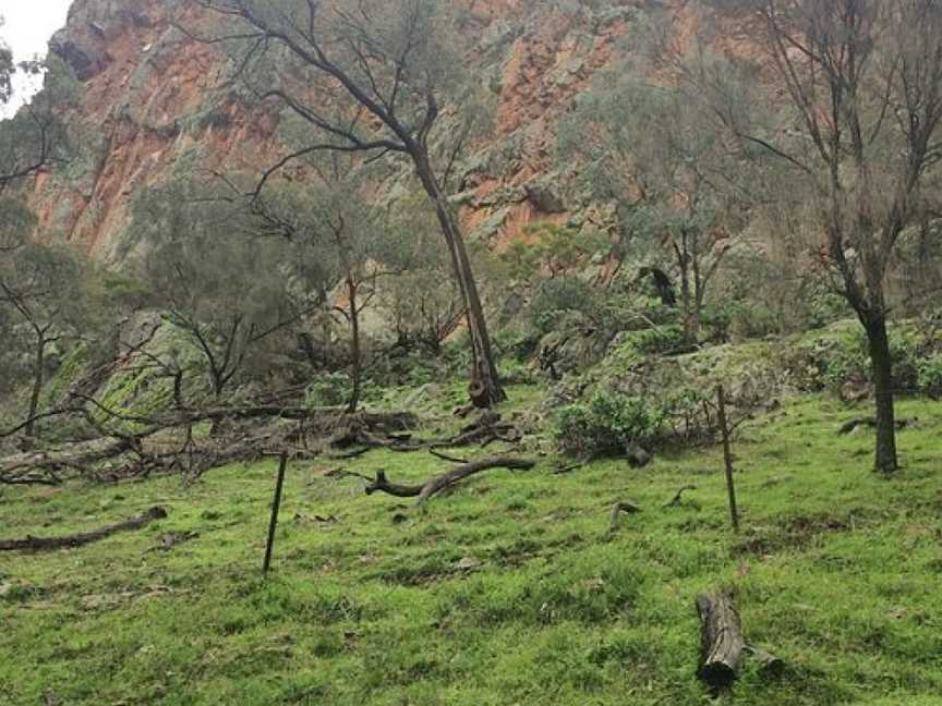 The Rock Nature Reserve, Sydney, NSW