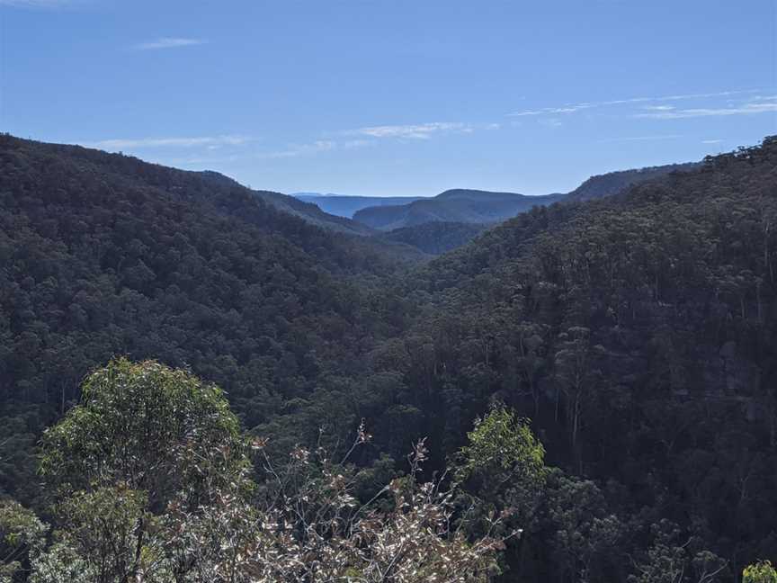 Box Vale Walking Track, Mittagong, NSW