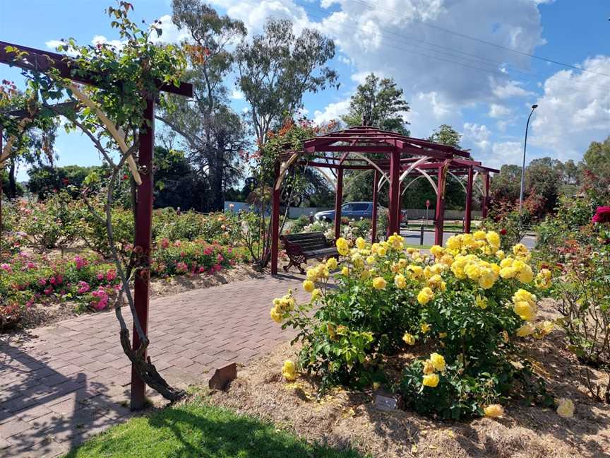 Cowra Rose Garden, Cowra, NSW