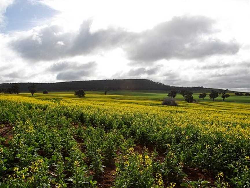 Galore Hill, Lockhart, NSW