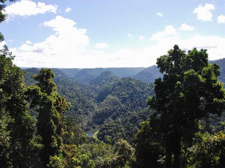 Wooroonooran National Park, Topaz, QLD