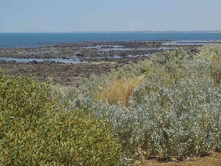 Cyril curtain reserve, Williamstown, VIC