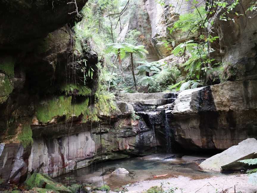 Moss Garden, Carnarvon National Park, QLD