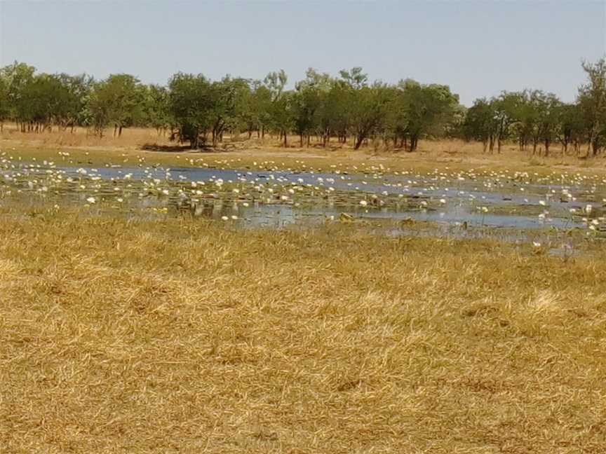 Mutton Hole Wetlands Conservation Park, Normanton, QLD