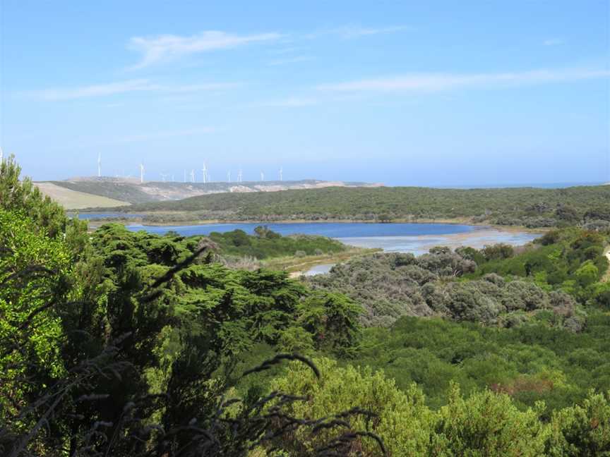 Tarragal Caves, Cape Bridgewater, VIC