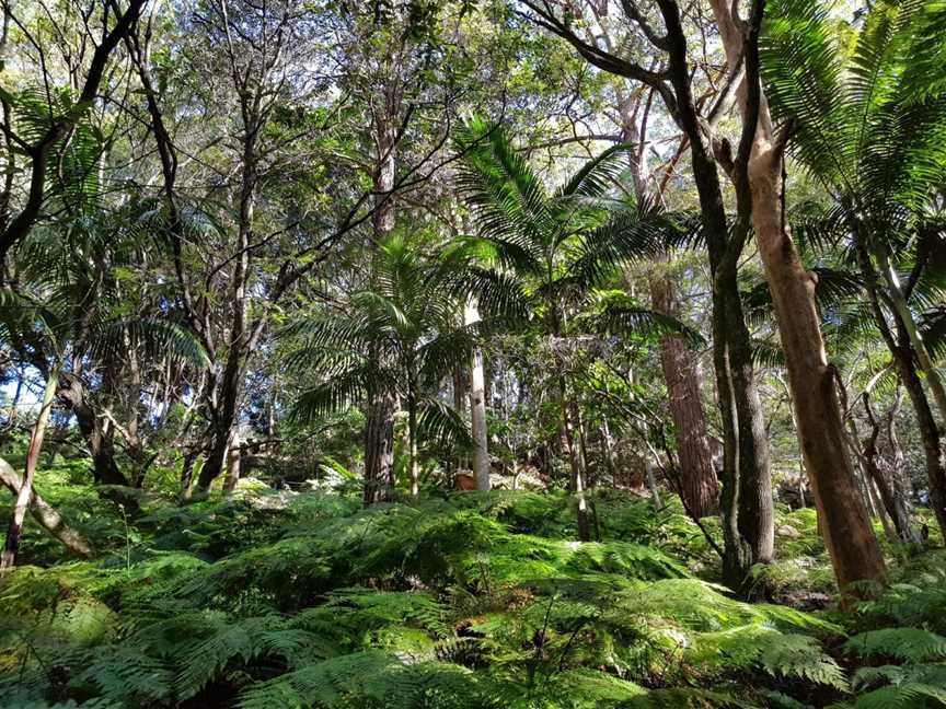 Cooper Park, Bellevue Hill, NSW