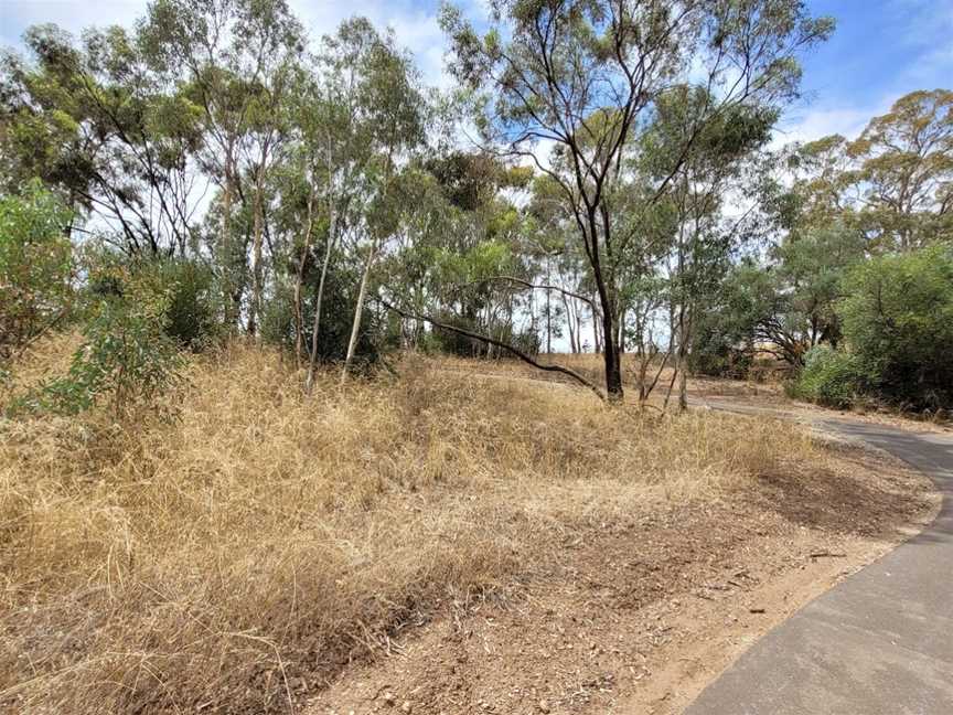 Jack Bobridge Track, Lyndoch, SA