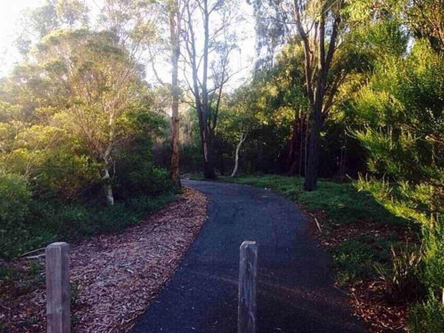 Malvern Urban Forest, Malvern, VIC