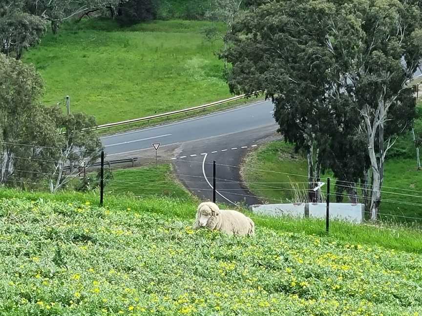 Mickle Lookout, Casterton, VIC