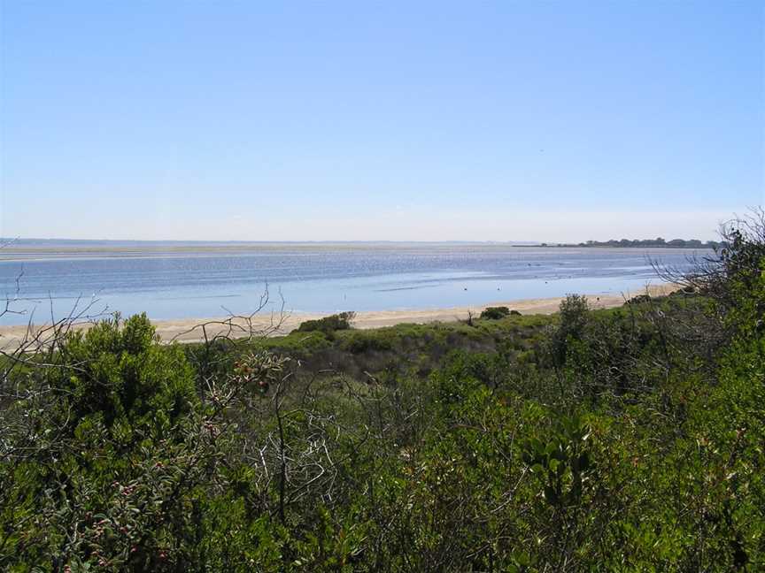 Swan Bay, Queenscliff, VIC