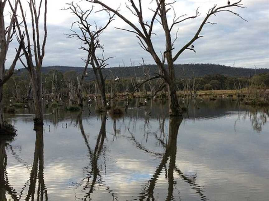 Wagirra Trail, Albury, NSW