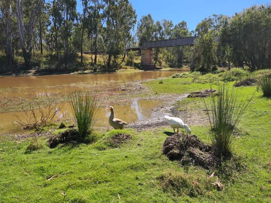 Dogwood Creek Walking Track, Miles, QLD