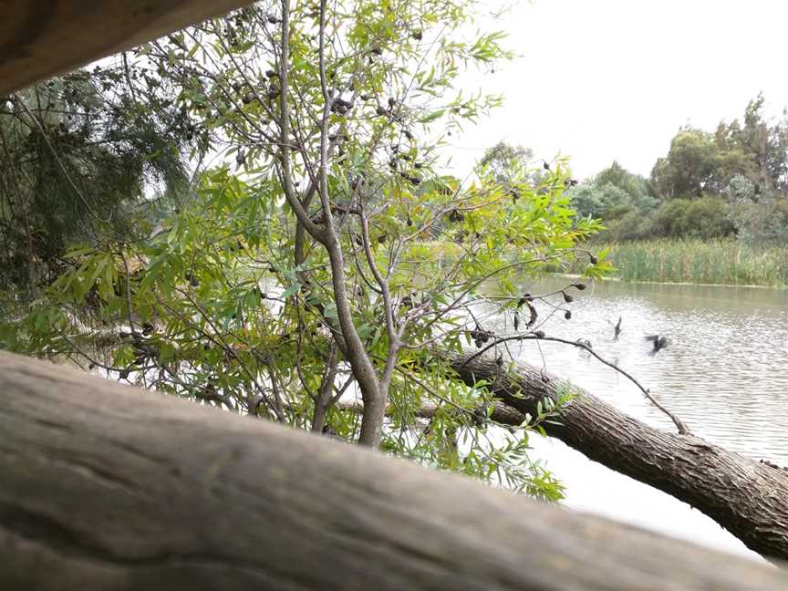 Cussen Park, Tatura, VIC