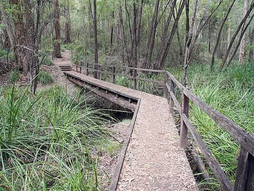 Harewood Forest, Denmark, WA