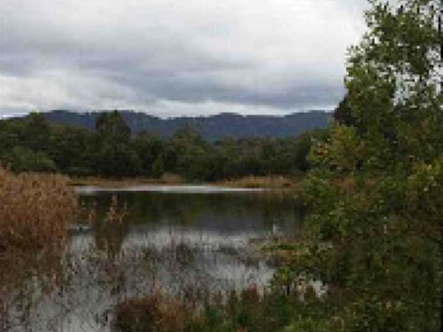 Hull Road Wetlands, Lilydale, VIC