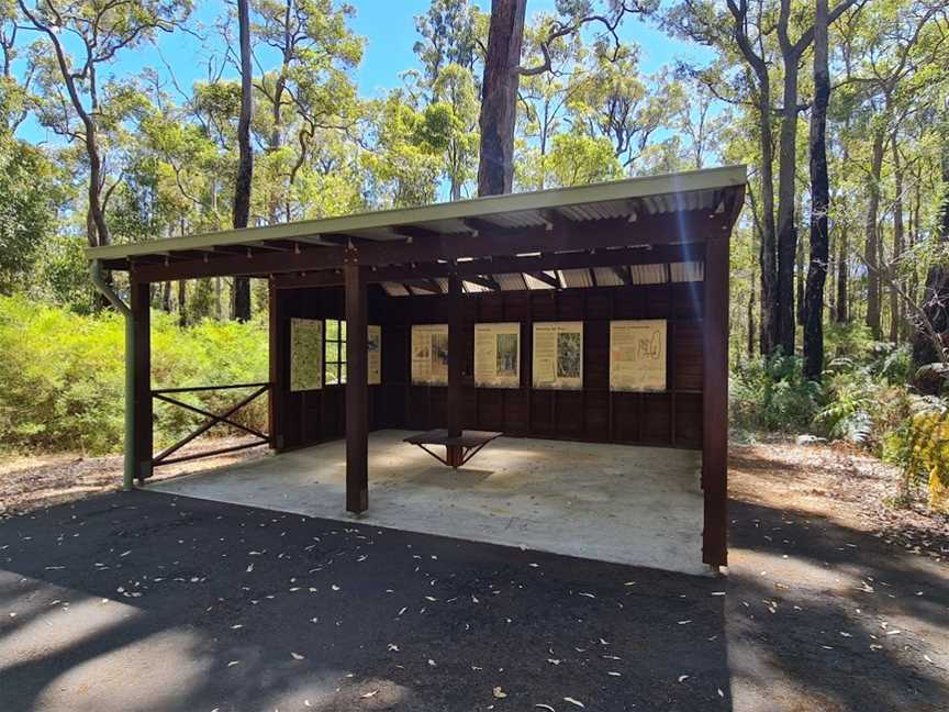 King Jarrah Tree, Balbarrup, WA