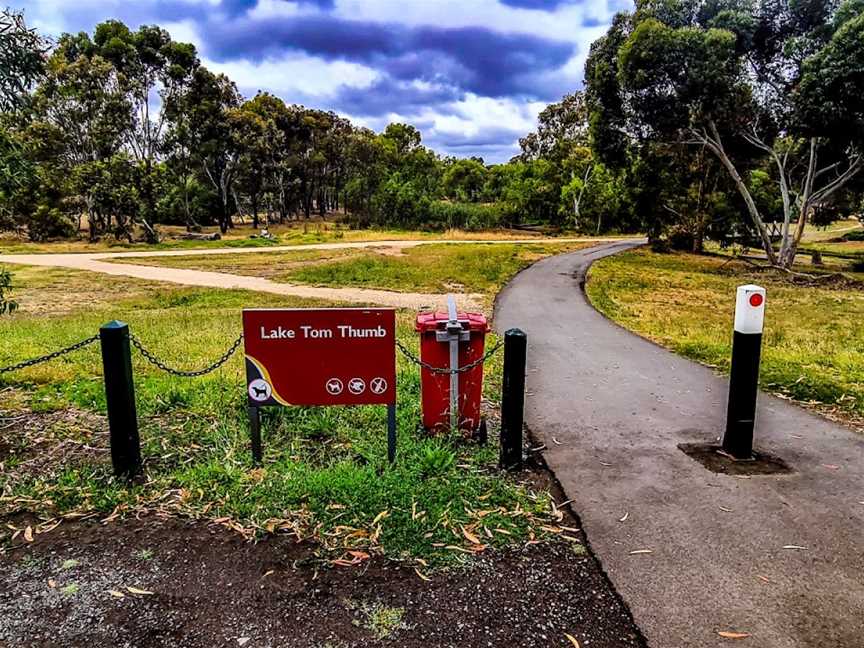 Lake Tom Thumb, Eaglehawk, VIC