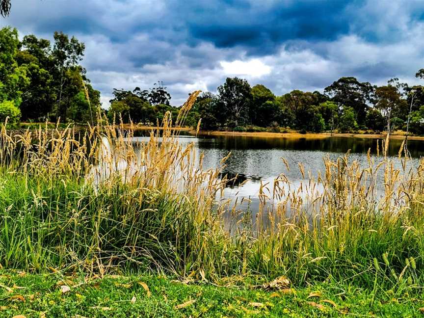 Lake Tom Thumb, Eaglehawk, VIC