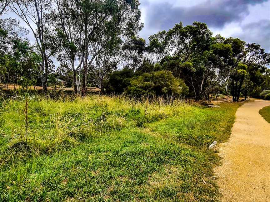 Lake Tom Thumb, Eaglehawk, VIC